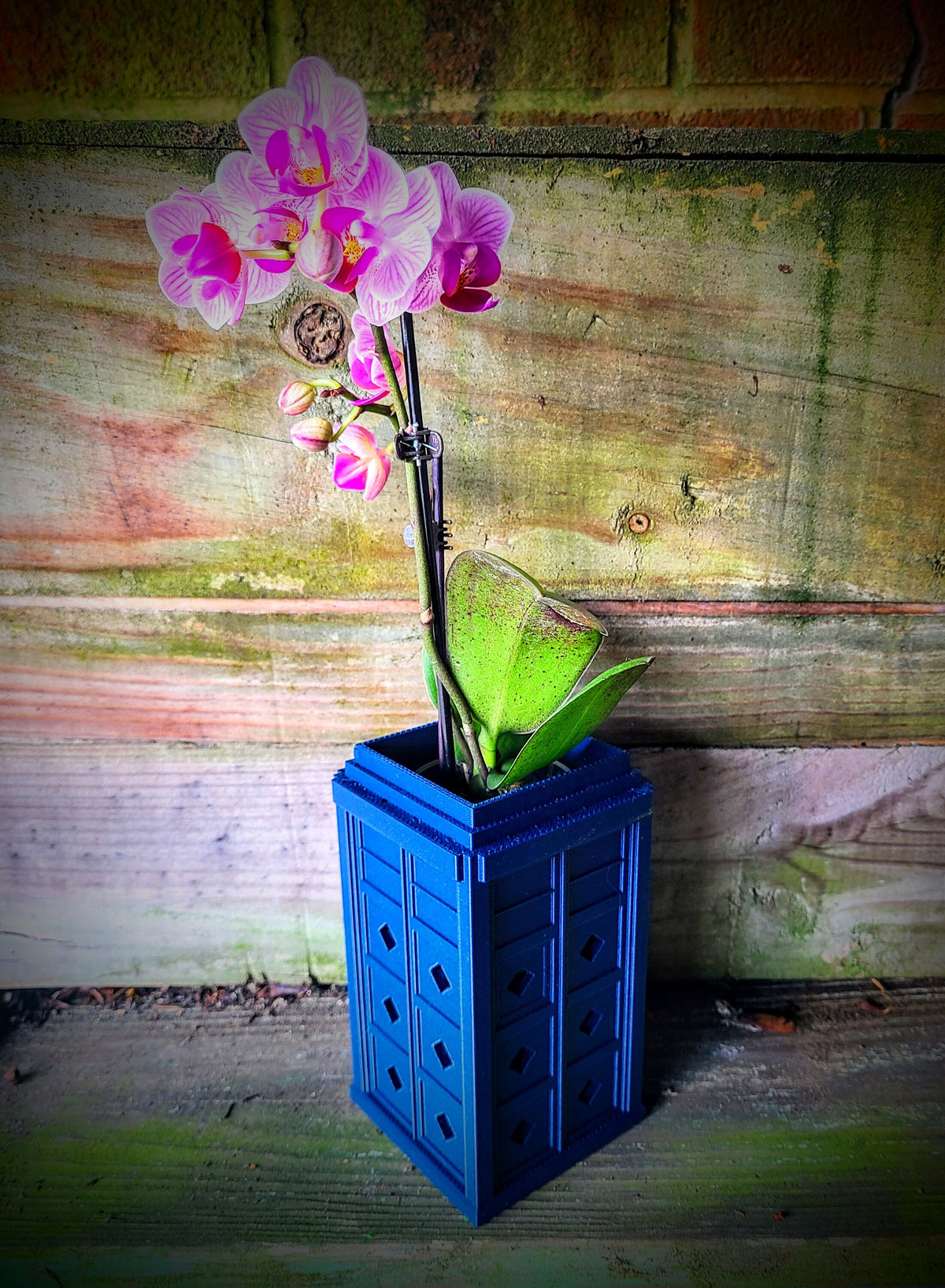 Blue police-box-shaped orchid pot with diamond ventilation holes — image 4 of 5