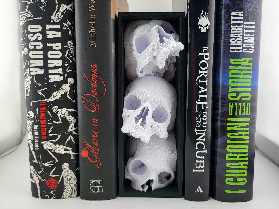 Three pale skulls in a black book nook frame between books, front view