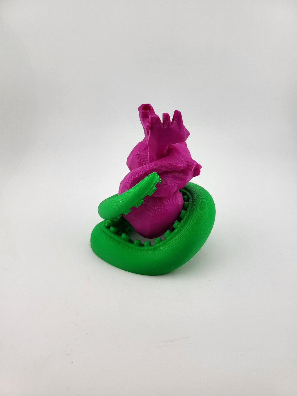 Polygonal Heart Vase with Tentacle Wrap Propagation Vase Stem Vase Unique Creepy Cute Decor Valentine’s Gift Weird Planter Geeky Room Accent