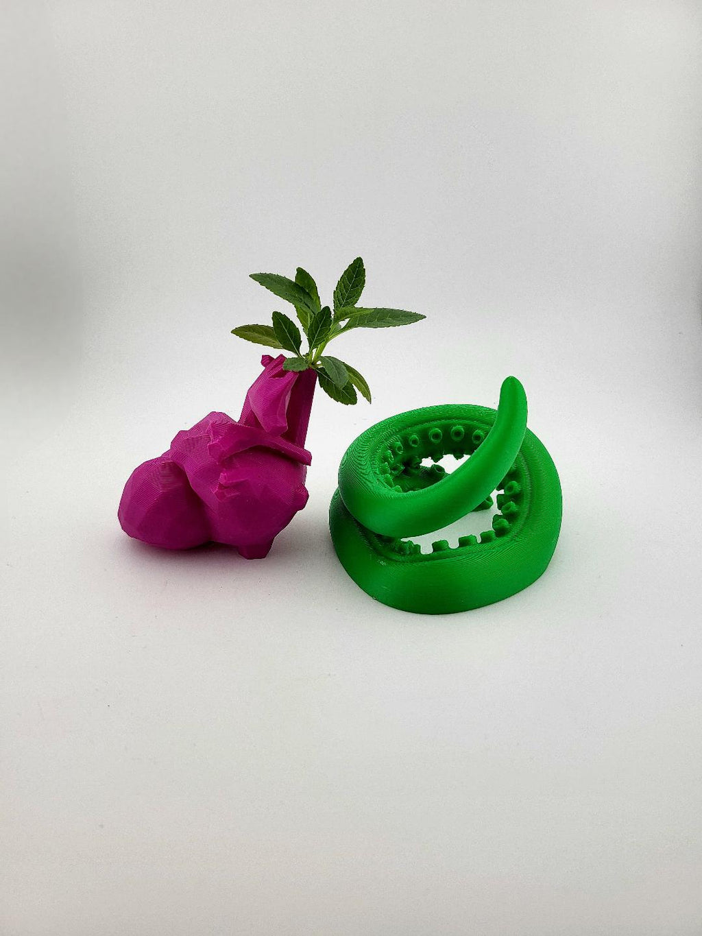 Polygonal Heart Vase with Tentacle Wrap Propagation Vase Stem Vase Unique Creepy Cute Decor Valentine’s Gift Weird Planter Geeky Room Accent