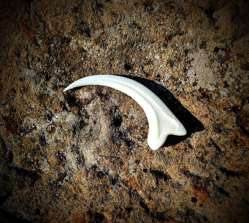 Jurassic Era Raptor Claw Replica – 3D Printed Fossil Prop for Collectors, Cosplay, and Display