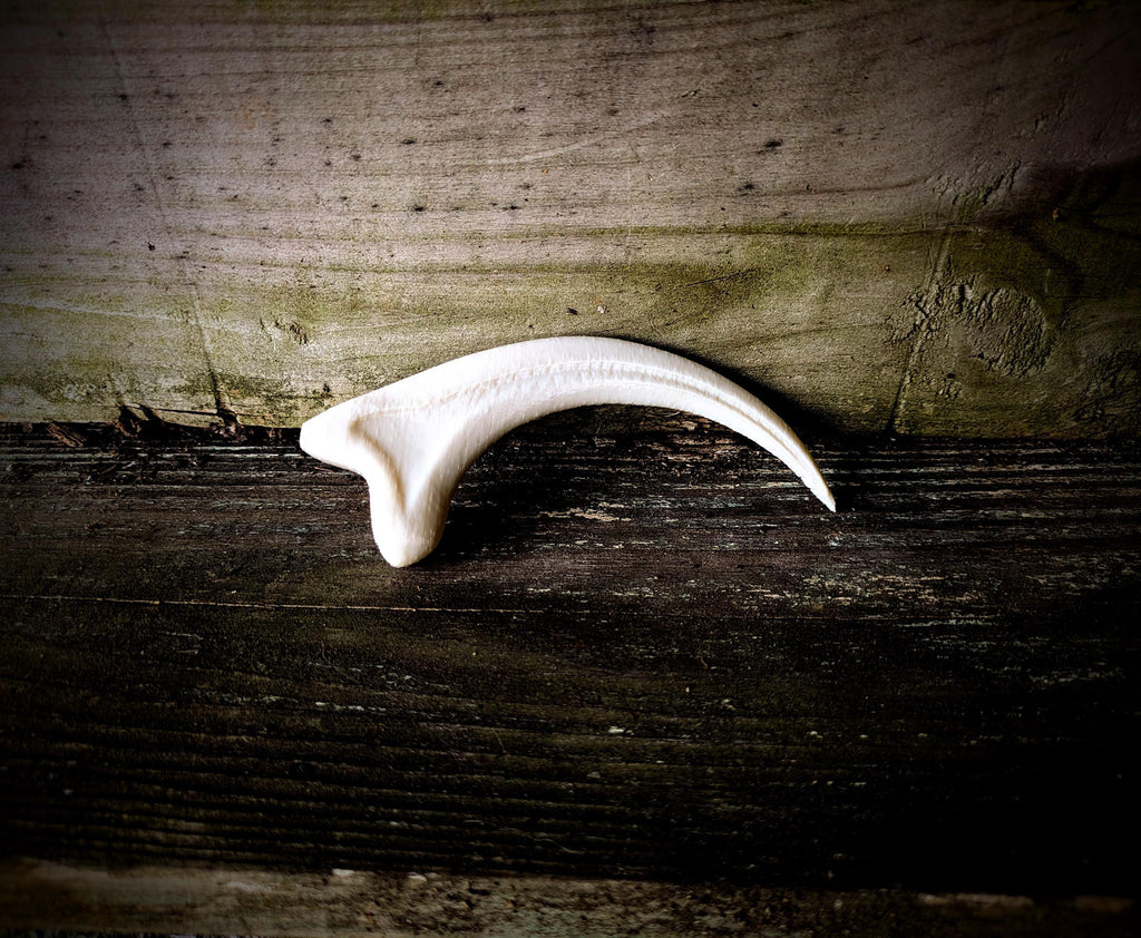 Jurassic Era Raptor Claw Replica – 3D Printed Fossil Prop for Collectors, Cosplay, and Display