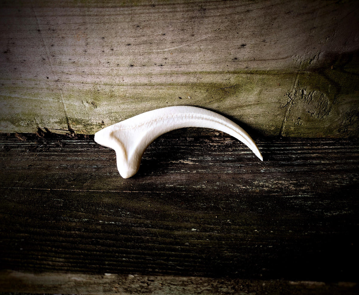 Jurassic Era Raptor Claw Replica – 3D Printed Fossil Prop for Collectors, Cosplay, and Display