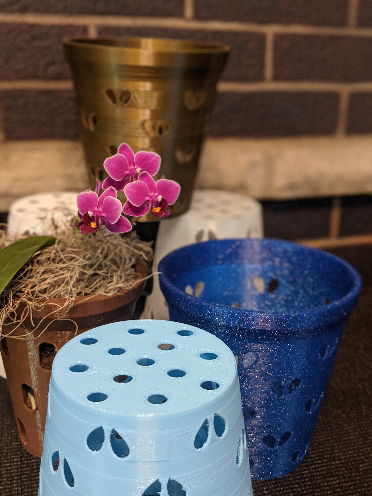 Light blue and blue heart-hole orchid pot liners shown with a small purple orchid and additional pots