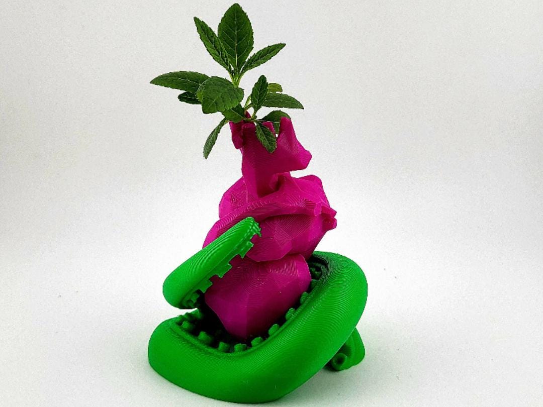Polygonal Heart Vase with Tentacle Wrap Propagation Vase Stem Vase Unique Creepy Cute Decor Valentine’s Gift Weird Planter Geeky Room Accent