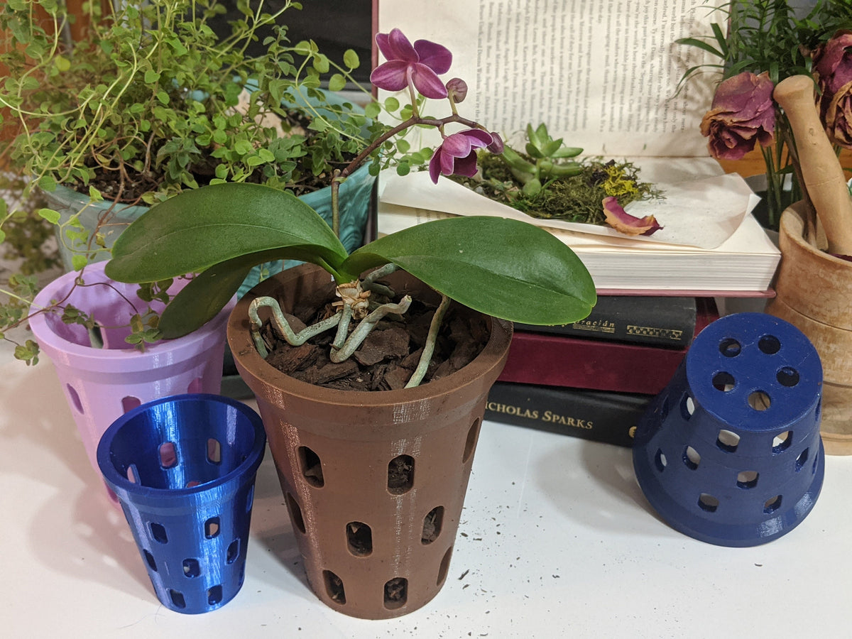 Purple orchid in a brown aerated pot with small blue and purple pots and a blue pot on its side