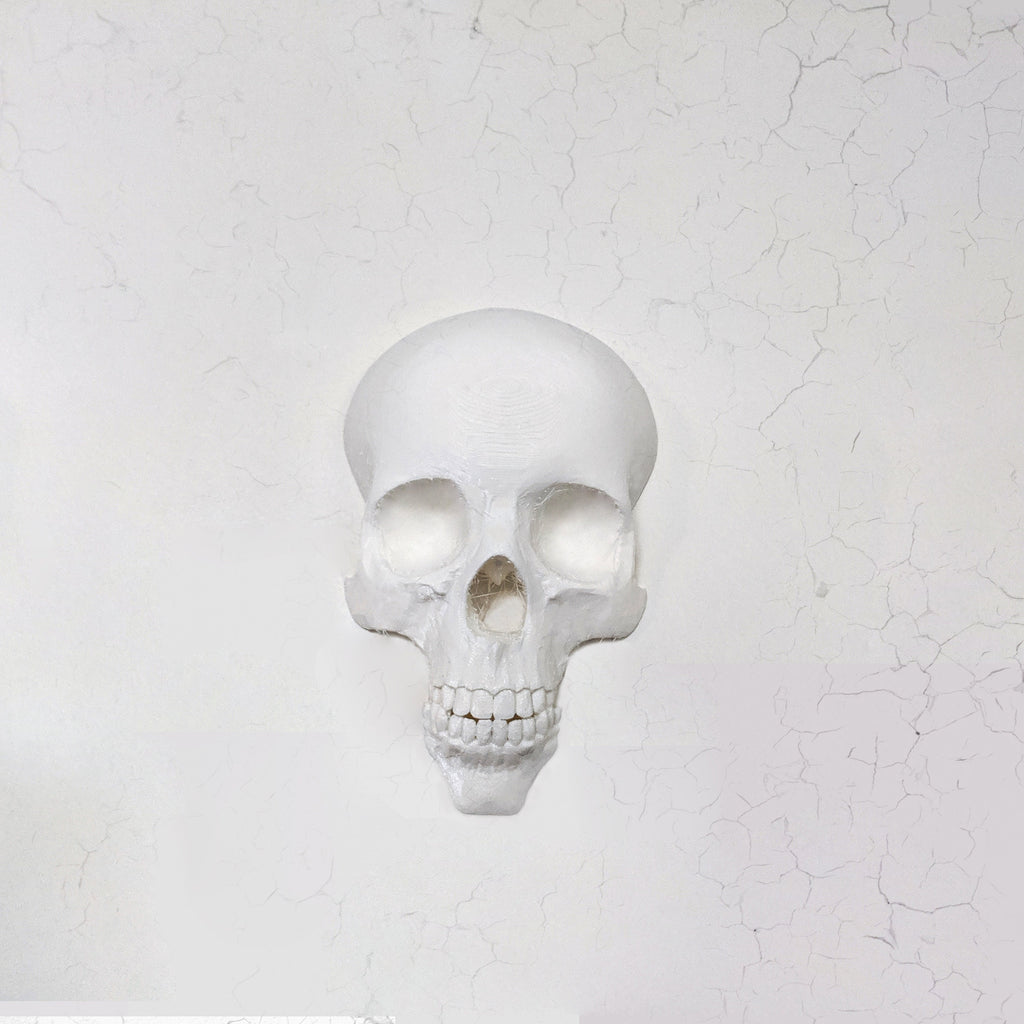 Wall Skull - 3D Printed Gothic Decoration