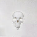 Wall Skull - 3D Printed Gothic Decoration