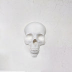 Wall Skull - 3D Printed Gothic Decoration