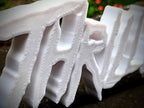 Thriller Shelf Sign — image 3 of 6