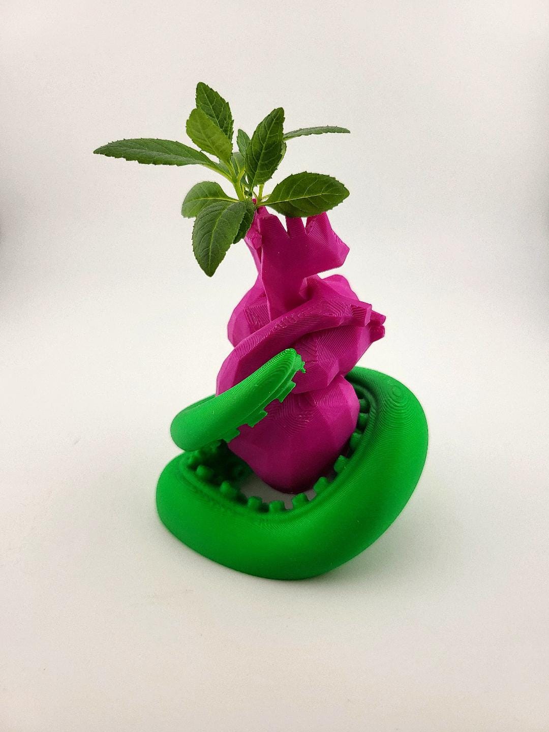 Polygonal Heart Vase with Tentacle Wrap Propagation Vase Stem Vase Unique Creepy Cute Decor Valentine’s Gift Weird Planter Geeky Room Accent