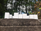 Monsterpocalypse Apartment Buildings Set, MonPoc 3D Printed Terrain, product image 4