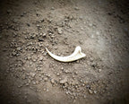 Jurassic Era Raptor Claw Replica – 3D Printed Fossil Prop for Collectors, Cosplay, and Display