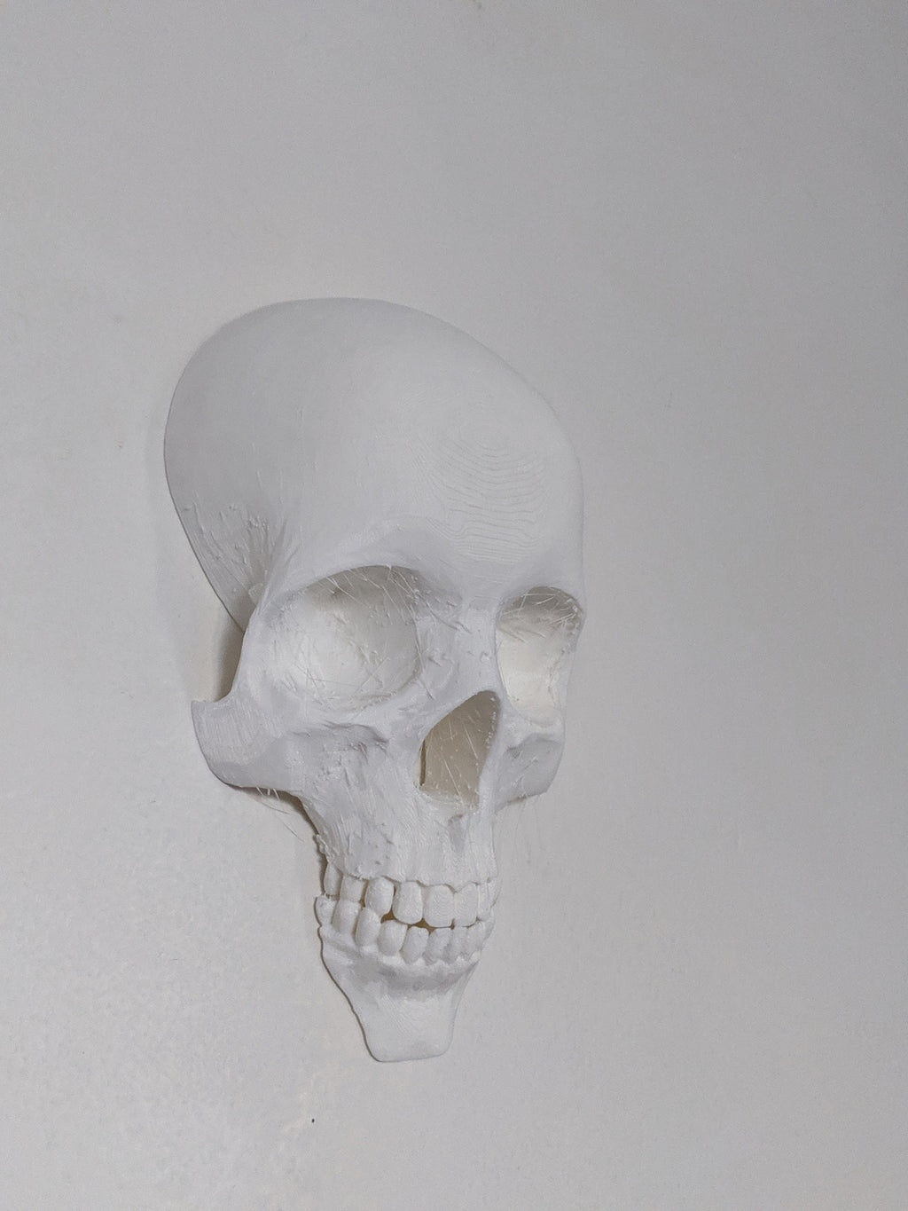 Wall Skull - 3D Printed Gothic Decoration
