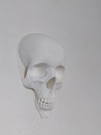 Wall Skull - 3D Printed Gothic Decoration