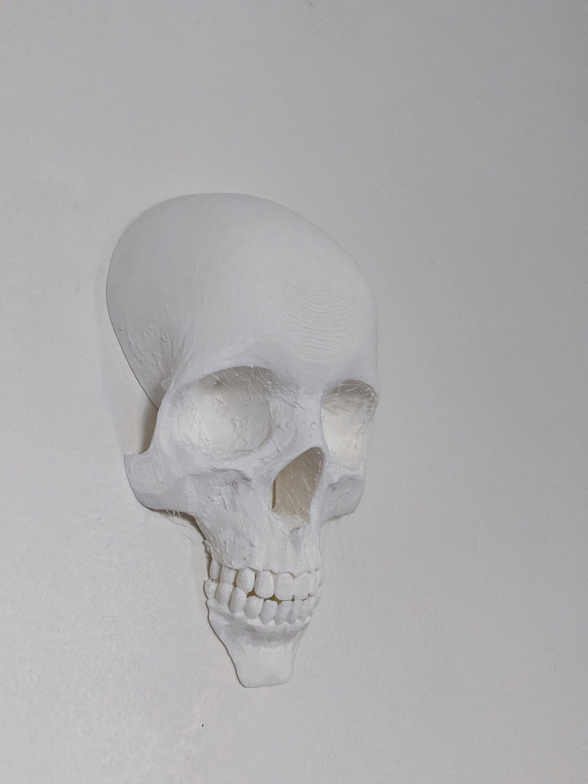 Wall Skull - 3D Printed Gothic Decoration