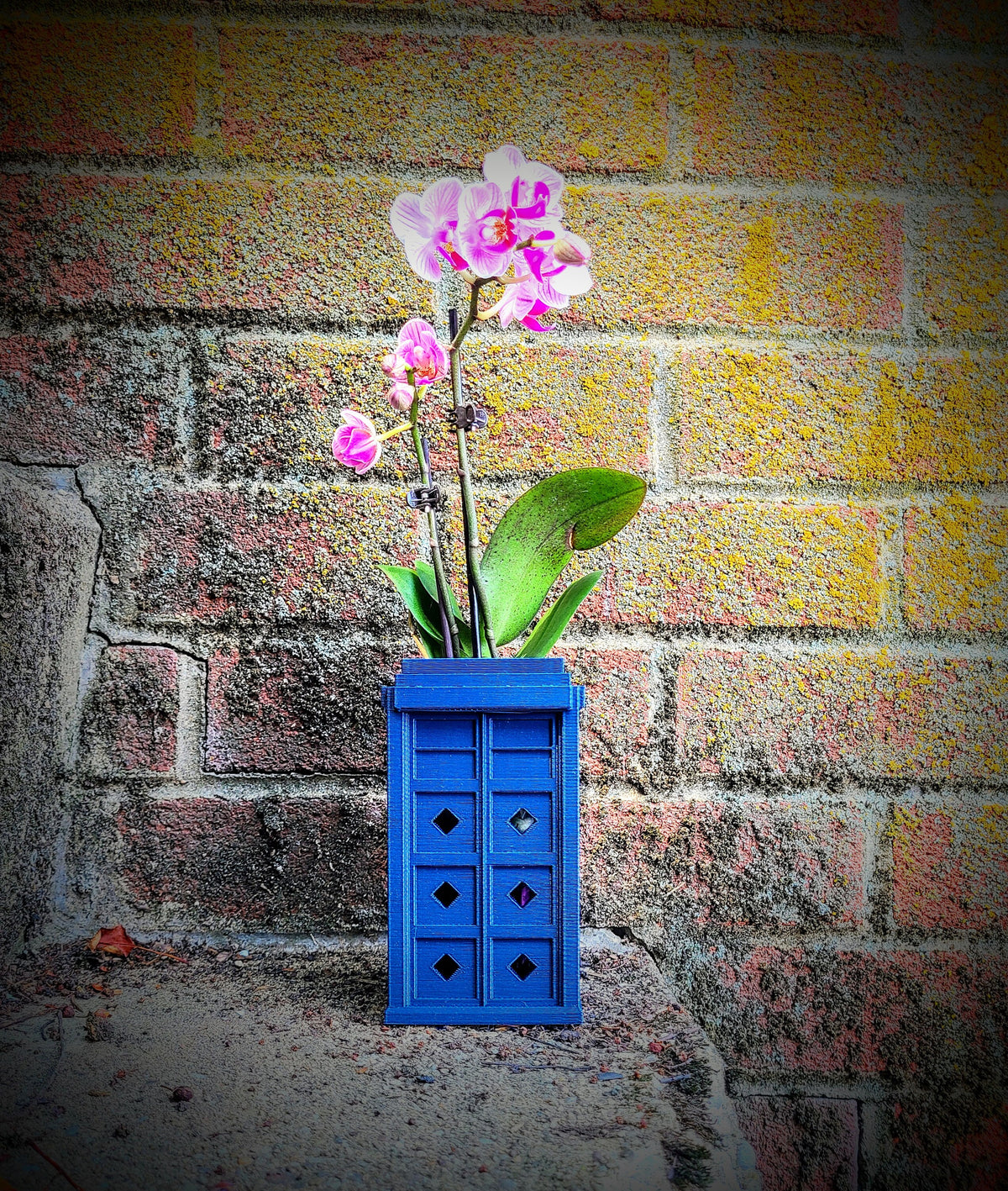 Blue police-box-shaped orchid pot with diamond ventilation holes — image 5 of 5