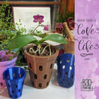 Brown aerated orchid pot holding a purple orchid beside blue and purple pots