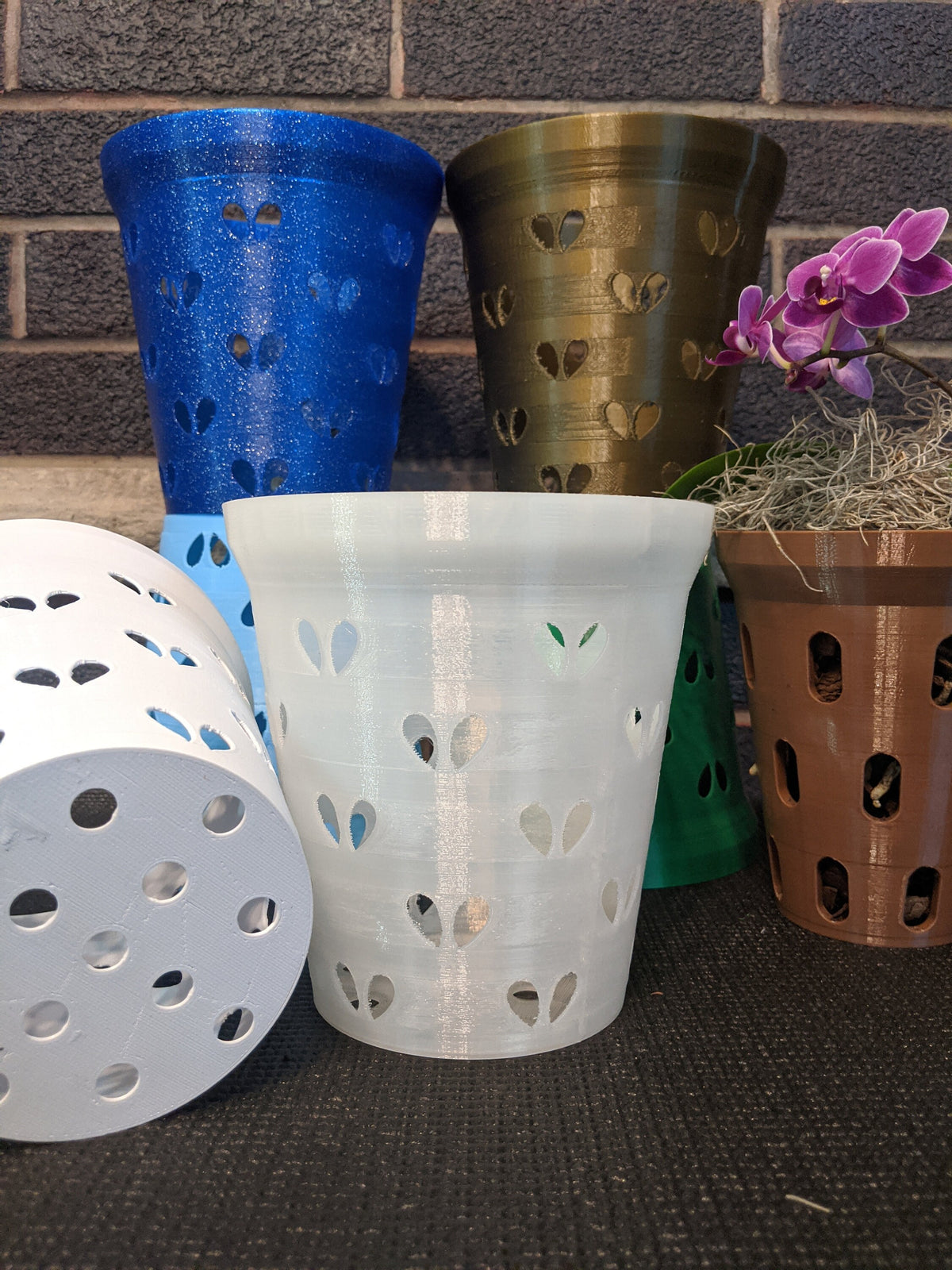 Clear heart-hole orchid pot liner centered among white, blue, bronze, green, and brown pots