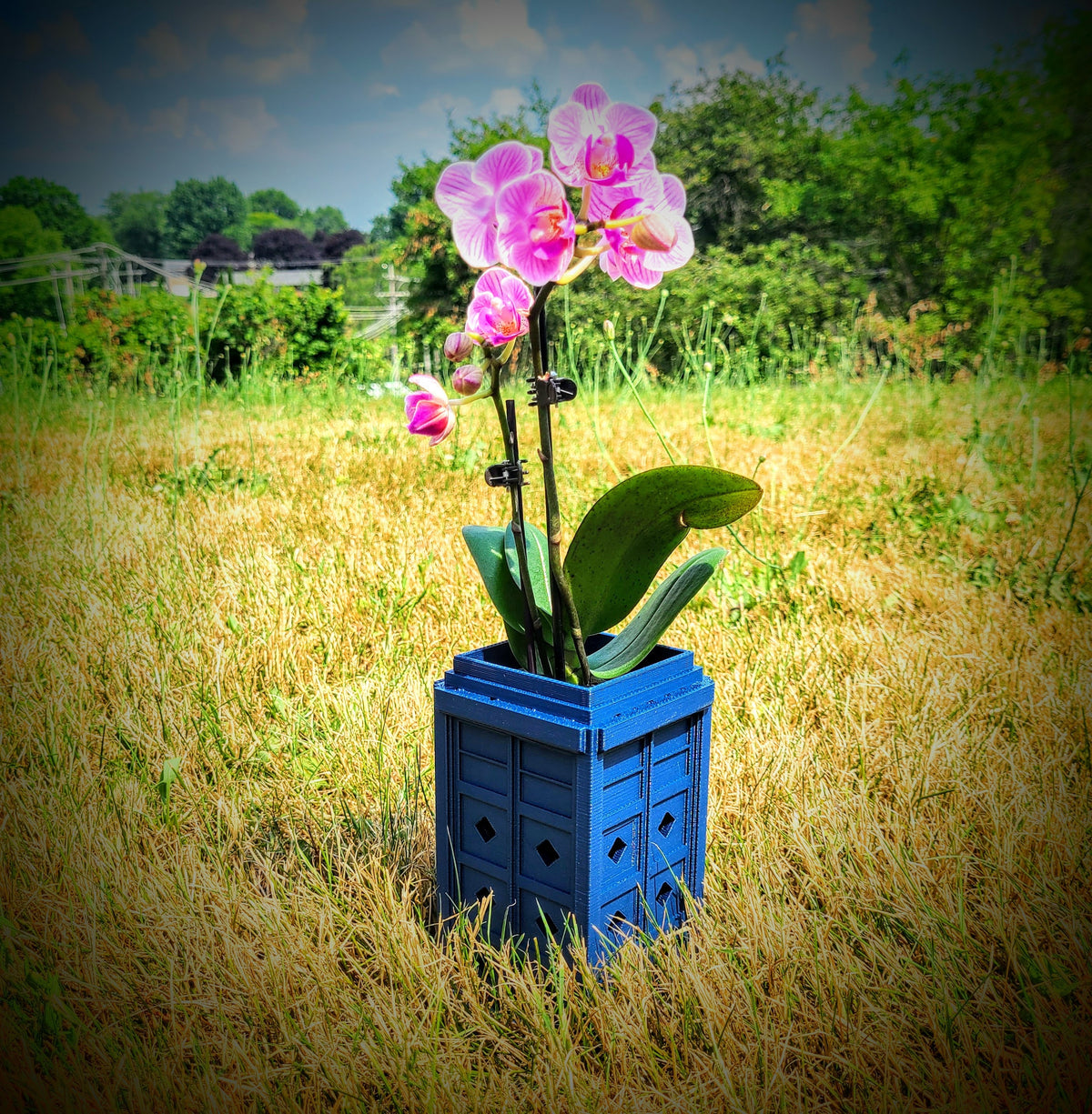 Blue police-box-shaped orchid pot with diamond ventilation holes — image 2 of 5