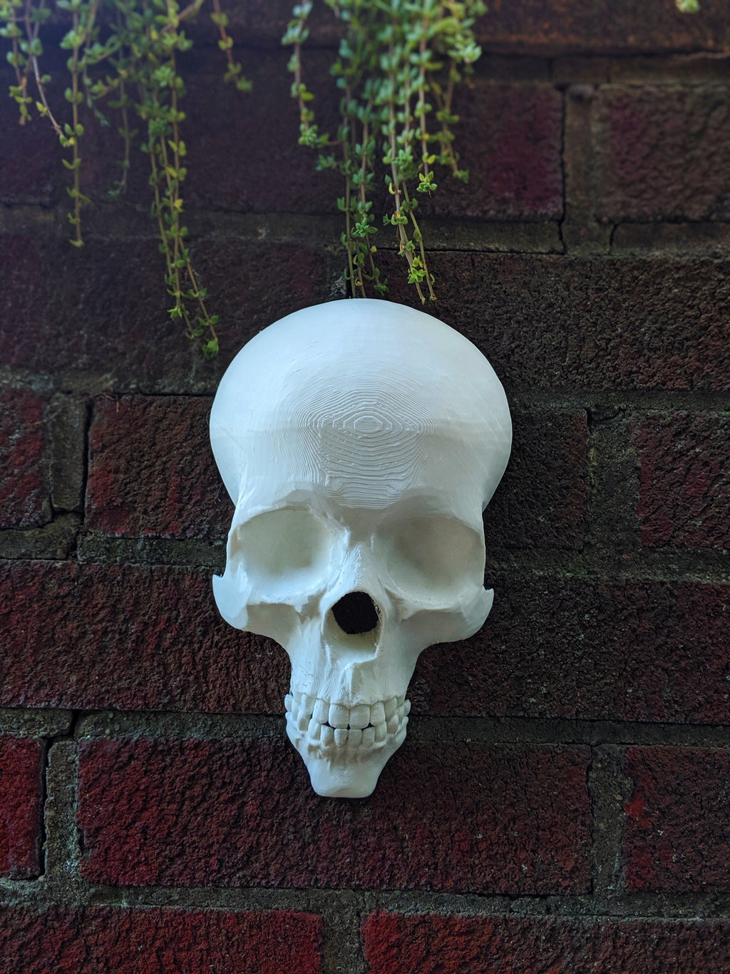 Wall Skull - 3D Printed Gothic Decoration