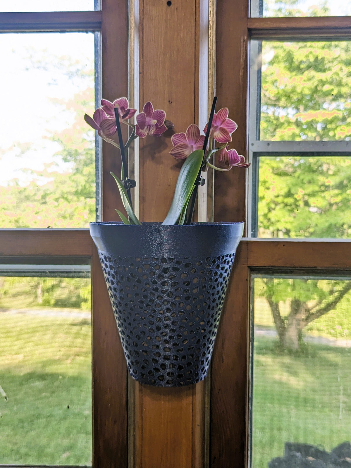 Hanging orchid pot with aerated lattice body — image 5 of 10